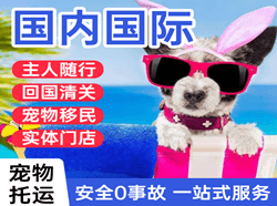六盘水月照机场物流国际宠物托运 【国